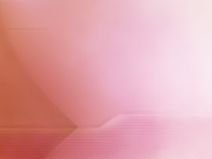 企业如何选择适合自己的财务报表方案